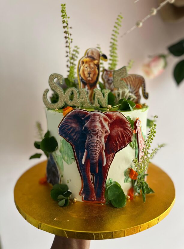 8cc57e90-2c63-455b-8e0a-9f7b1e329228 8cc57e90-2c63-455b-8e0a-9f7b1e329228